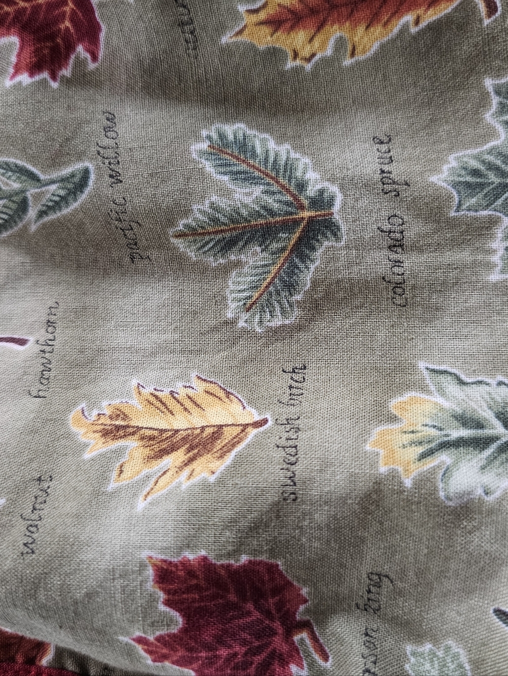 Rhino Rumba Reversible Floral & Leaf Dress 6M, Forest Green And Tan, Cottagecore - Picture 7 of 12